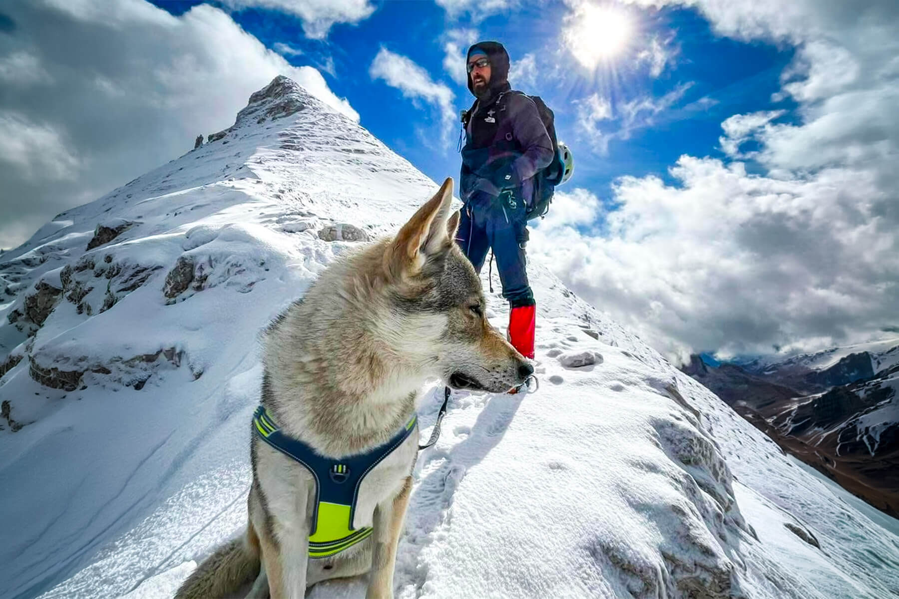 A M come Montagna protagonisti The Walking Wolf e Numb
